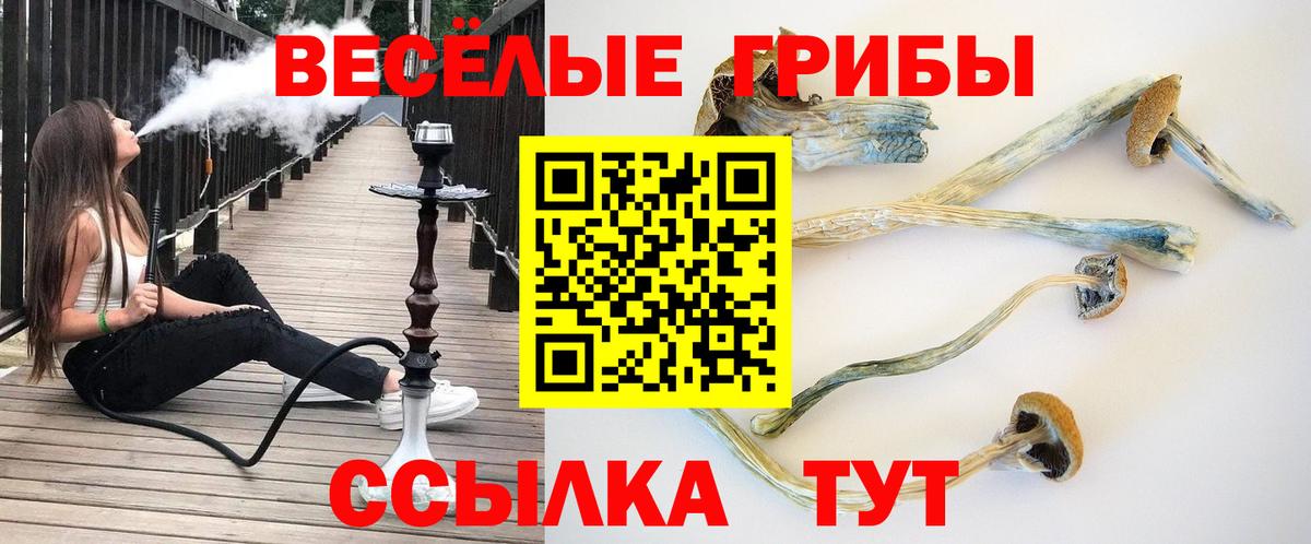 Псилоцибиновые грибы MAGIC MUSHROOMS  Вход с VPN  Благодарный 