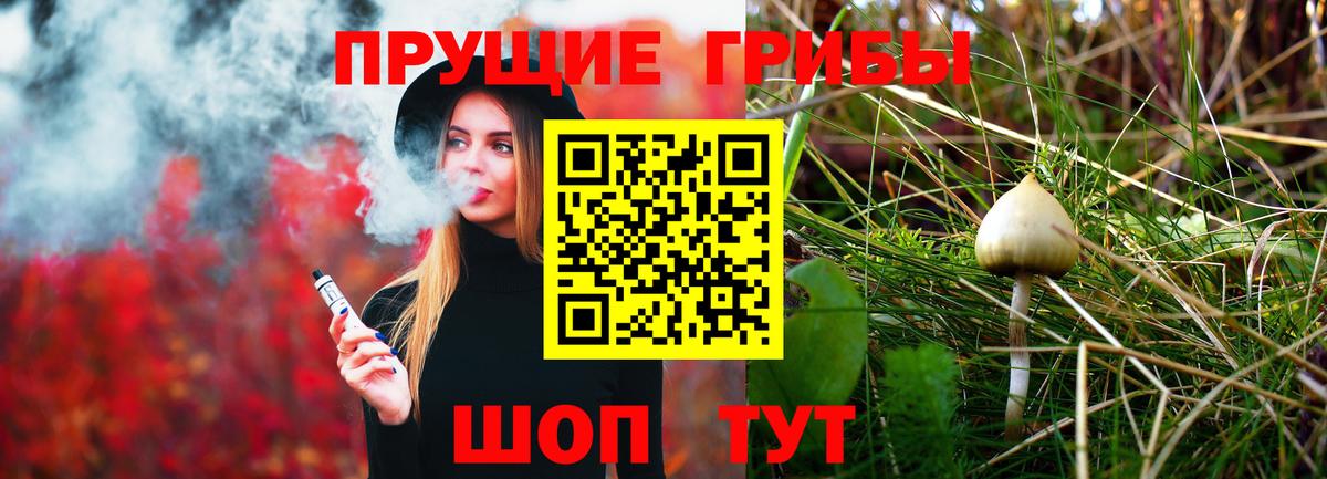 Псилоцибиновые грибы Psilocybe Благодарный