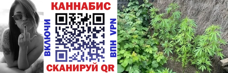 Каннабис MAZAR  Благодарный 